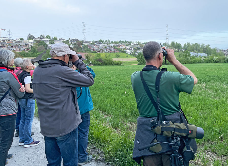 Ausblick gegen Hünenberg  Foto: Tanja Rose