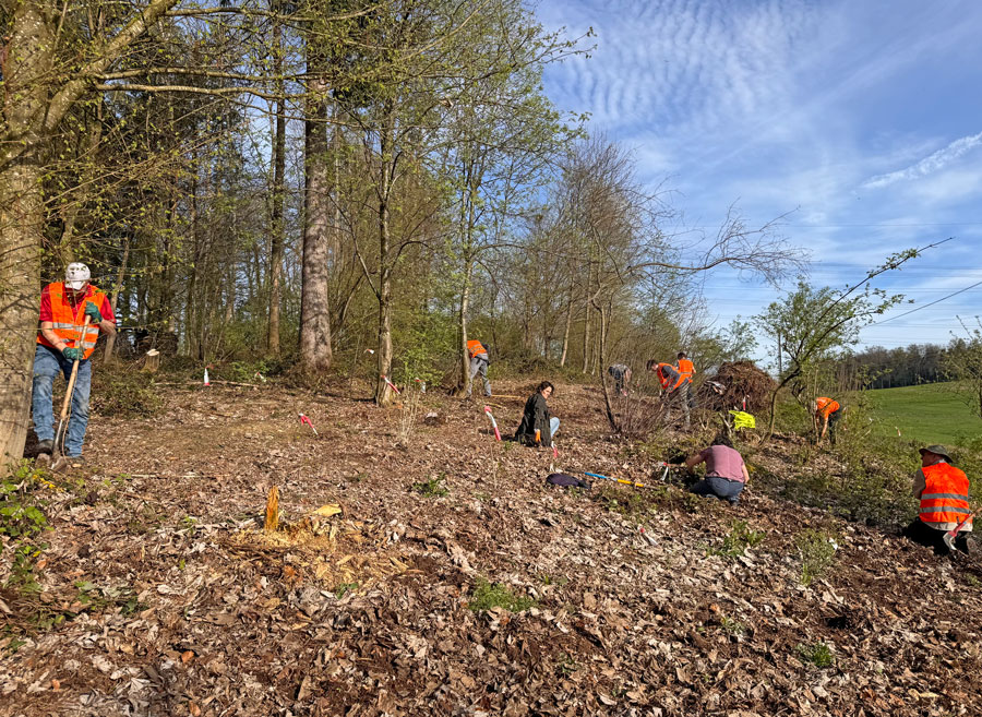 NaturZG Bibersee  Foto: Ursula Herzog