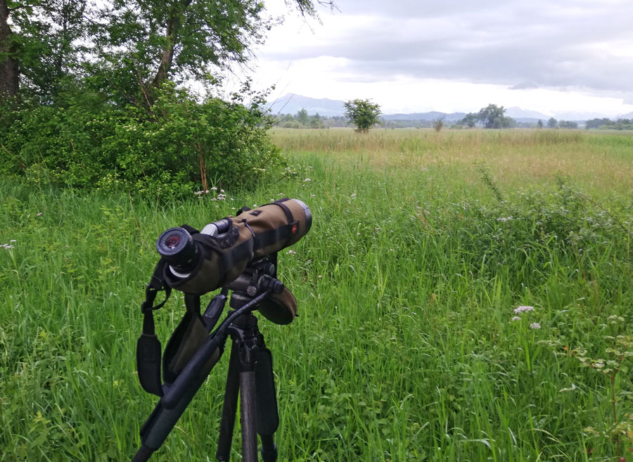 Trotz Wetterpech gab es einiges zu Sehen  Foto: Andreas Georg