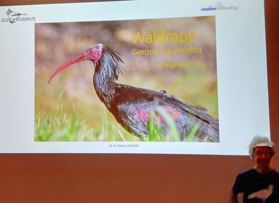 Waldrapp Vortrag in Baar  Foto: Andreas Georg